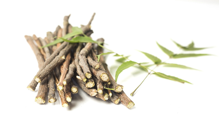 stack of twigs for ancient toothbrush