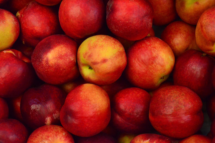 Aerial view of a large cluster of tooth-strengthening red apples with yellow streaks